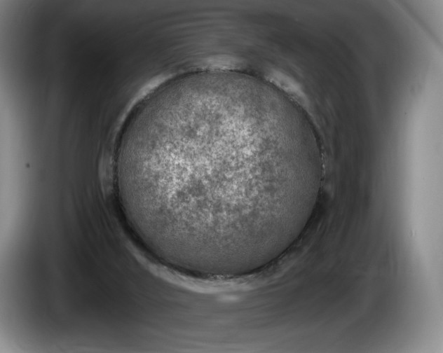 X0000085000012200703121510