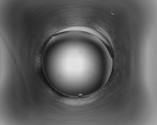 X0000085000017200703121510