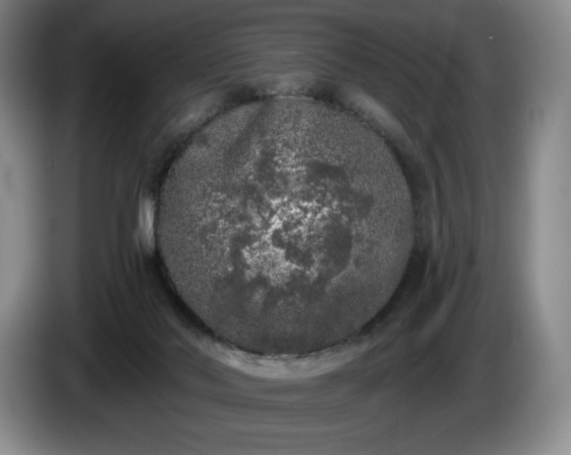 X0000085000022200703121510