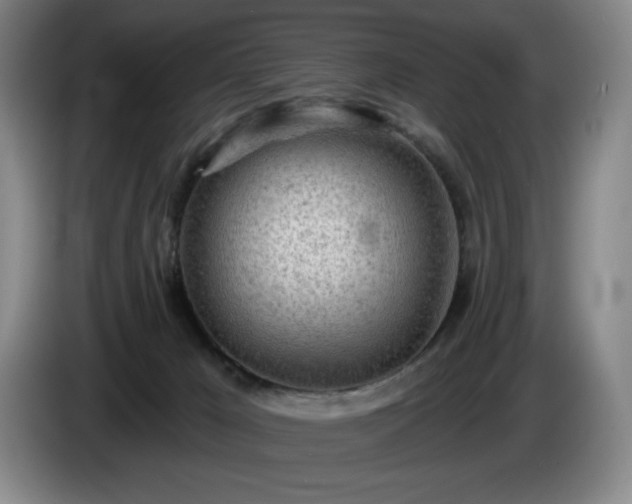 X0000085000029200703121510