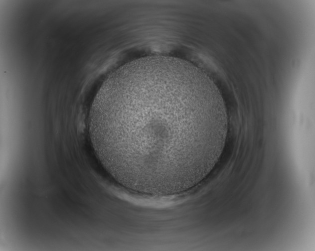 X0000085000032200703121510