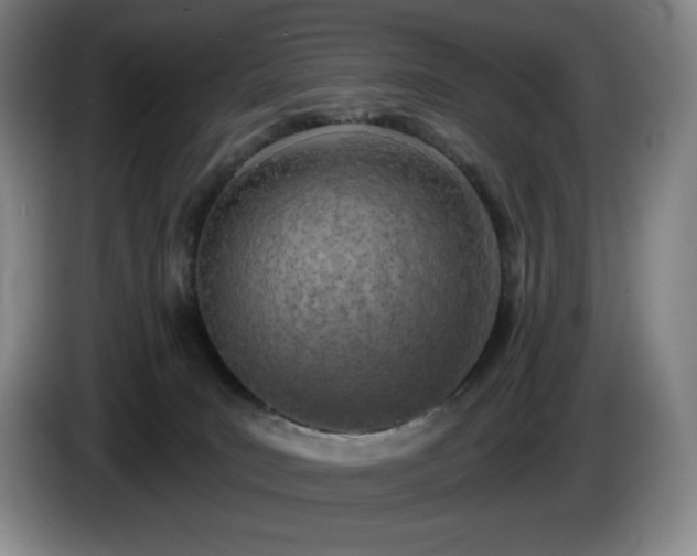 X0000085000035200703121510