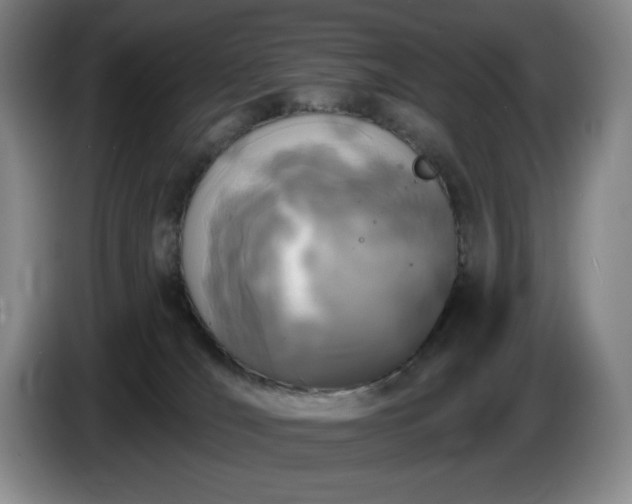 X0000085000036200703121510