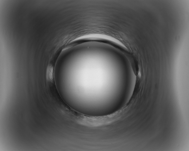 X0000085000041200703121510