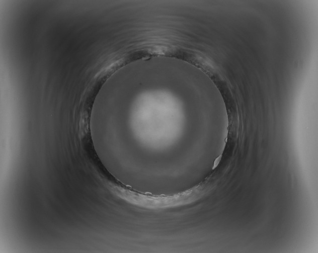 X0000085000043200703121510