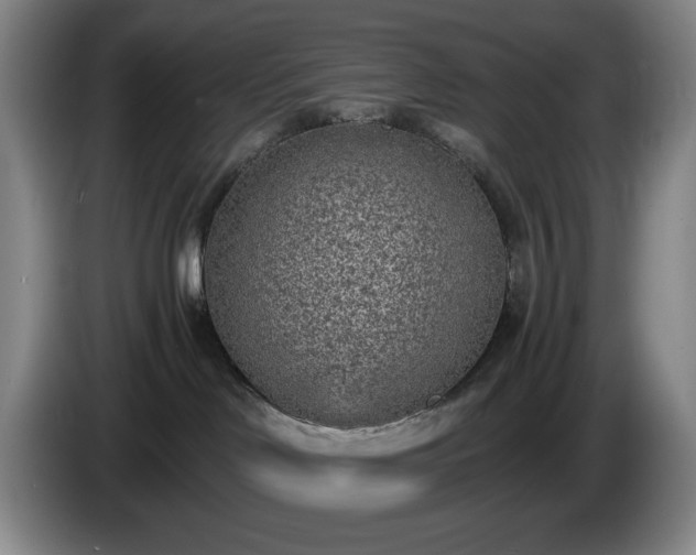 X0000085000046200703121509