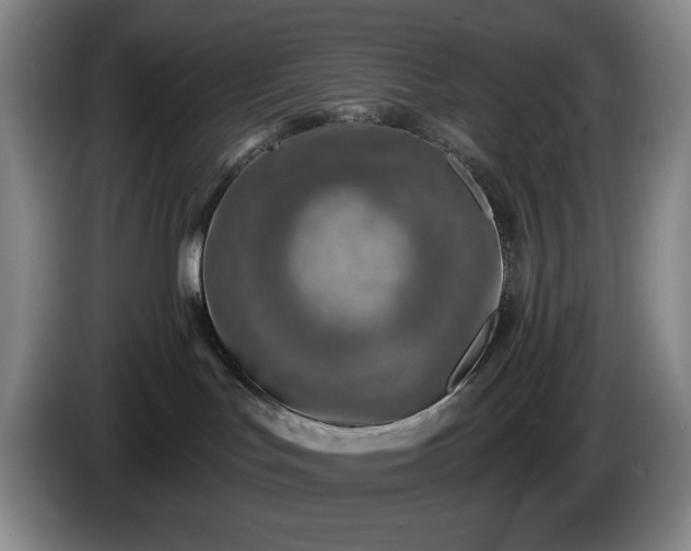 X0000085000047200703121509