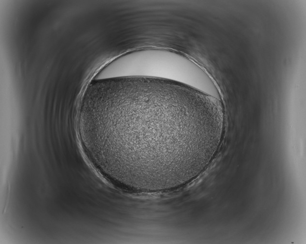 X0000085000049200703121509