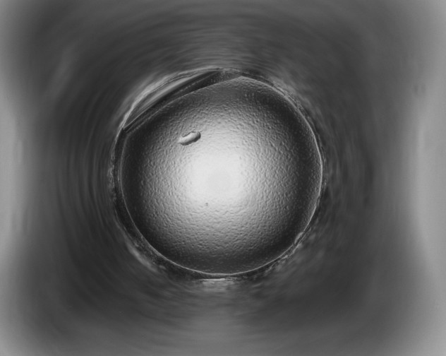 X0000085000050200703121509