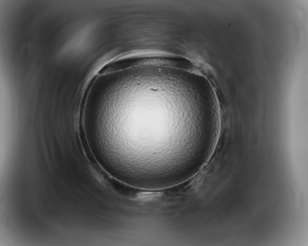 X0000085000051200703121509