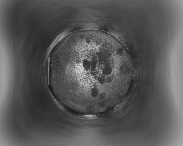 X0000085000053200703121509