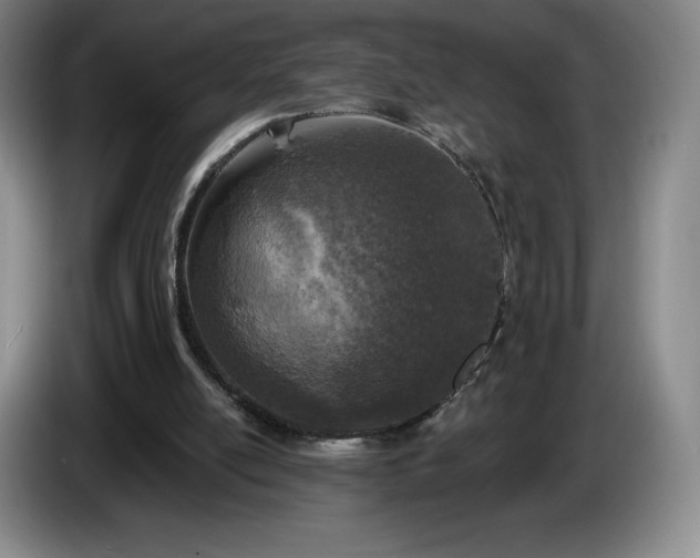 X0000085000054200703121509