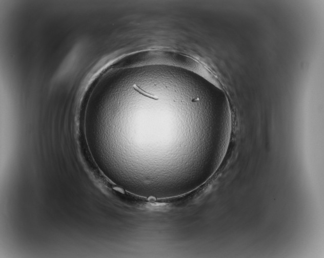 X0000085000055200703121509