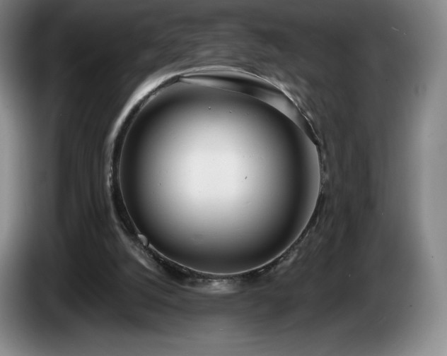 X0000085000056200703121509