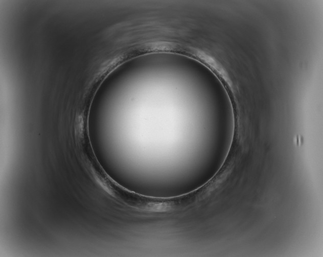 X0000085000057200703121509