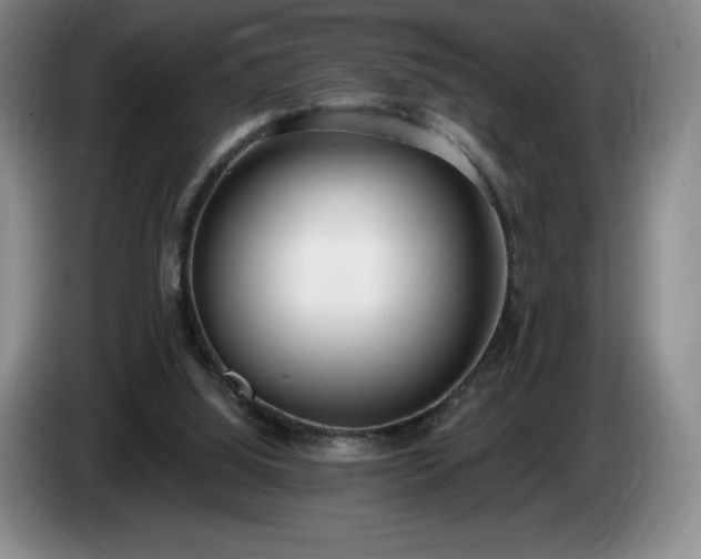 X0000085000060200703121509