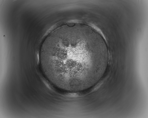 X0000085000061200703121509