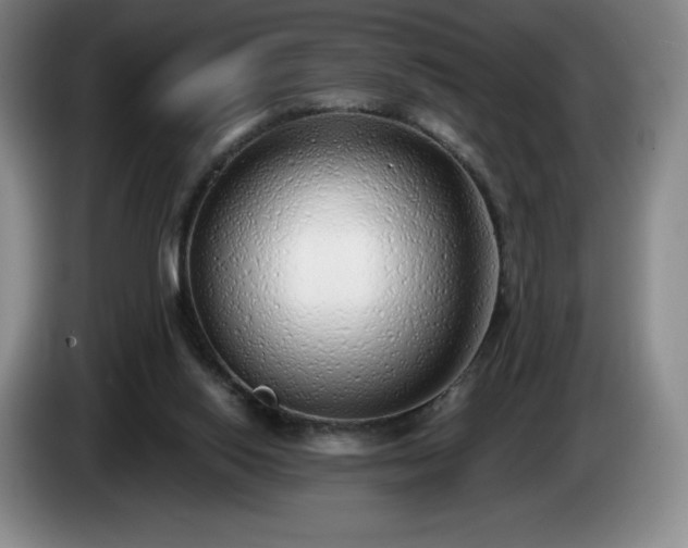 X0000085000062200703121509