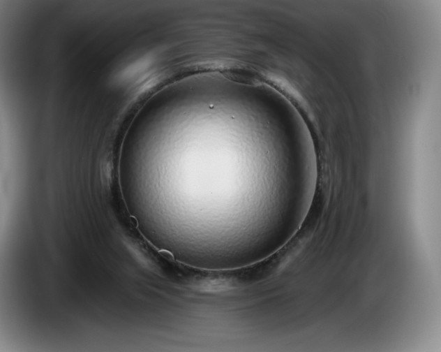 X0000085000063200703121509