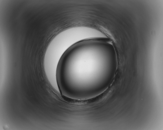 X0000085000065200703121509