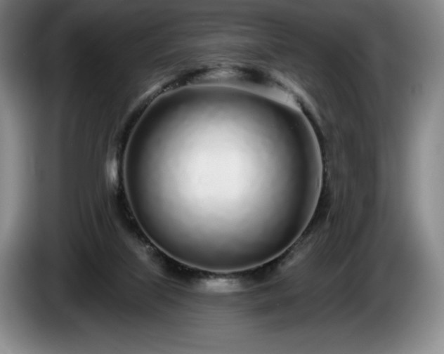 X0000085000067200703121509