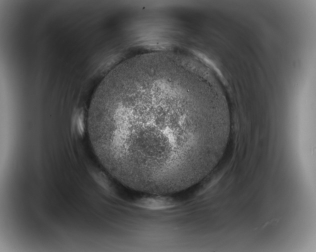 X0000085000069200703121509