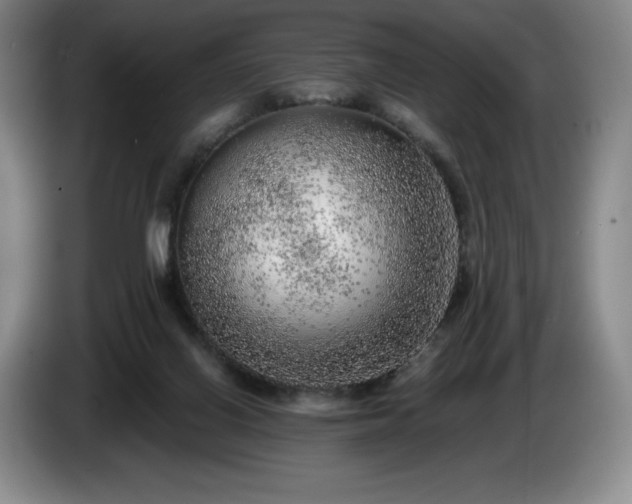 X0000085000070200703121509