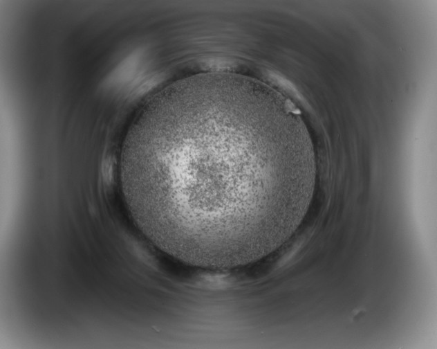 X0000085000071200703121509