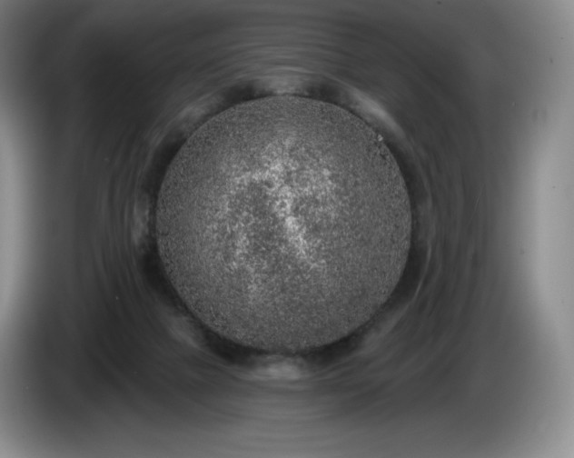 X0000085000073200703121509