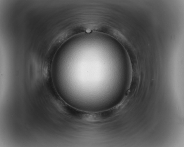 X0000085000074200703121509