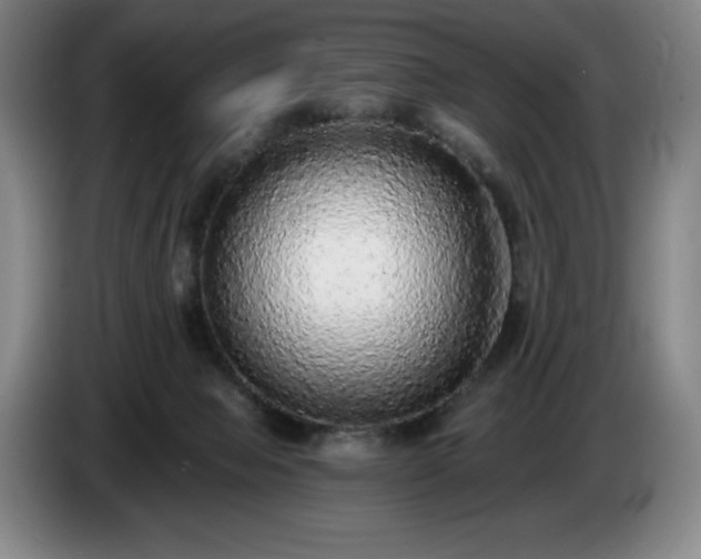 X0000085000077200703121509