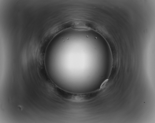 X0000085000078200703121509