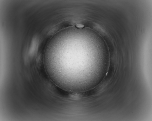 X0000085000079200703121509