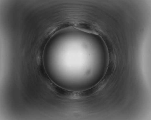 X0000085000080200703121509