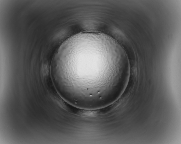 X0000085000081200703121509