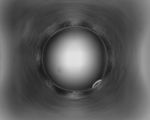 X0000085000082200703121509