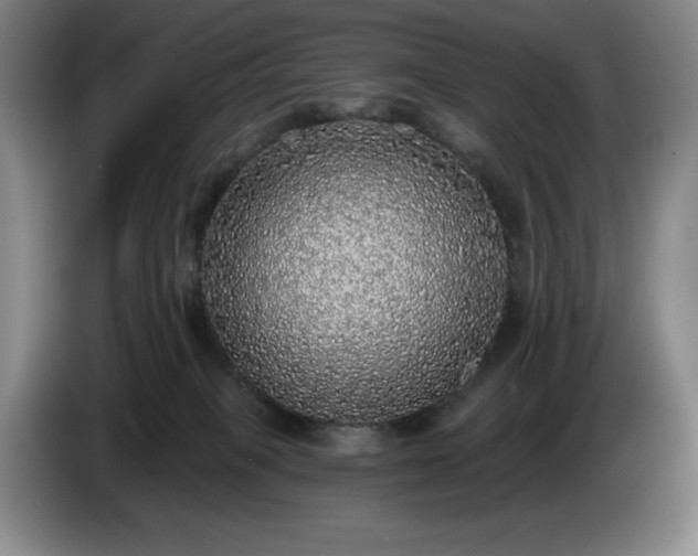 X0000085000085200703121509