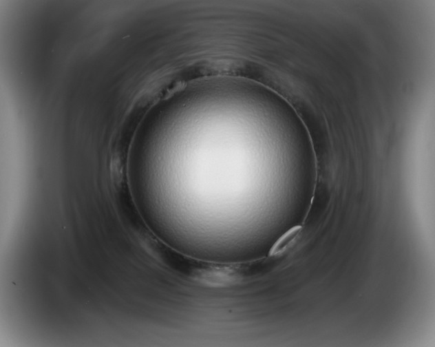 X0000085000086200703121509