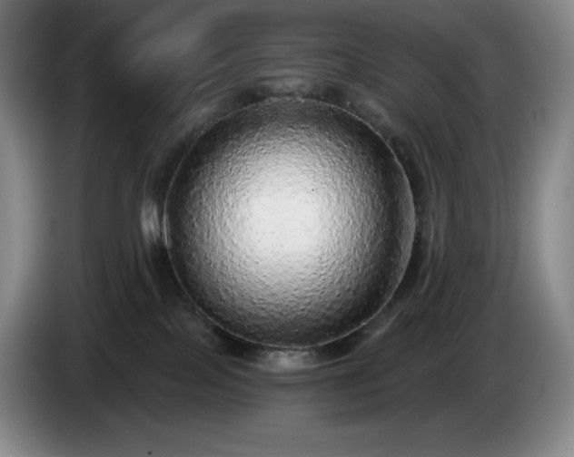 X0000085000089200703121509