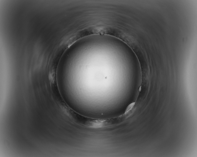 X0000085000090200703121509