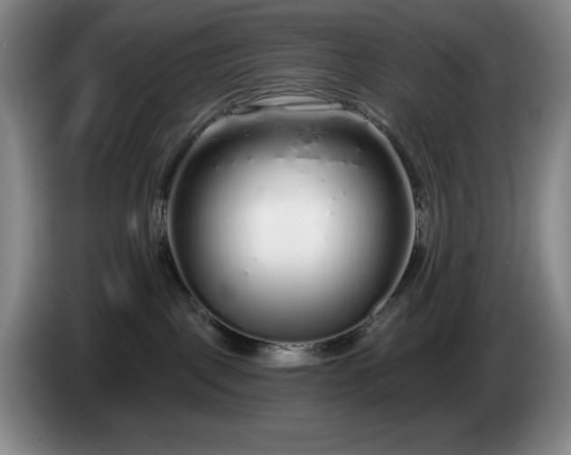 X0000085000093200703121509