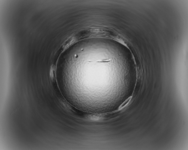 X0000085000094200703121509