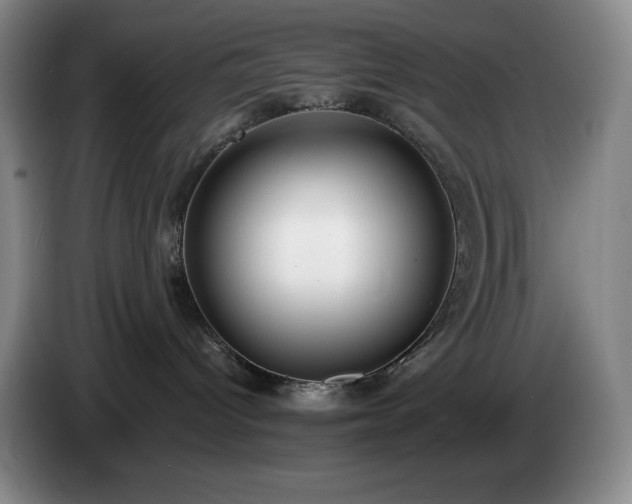 X0000085000096200703121509