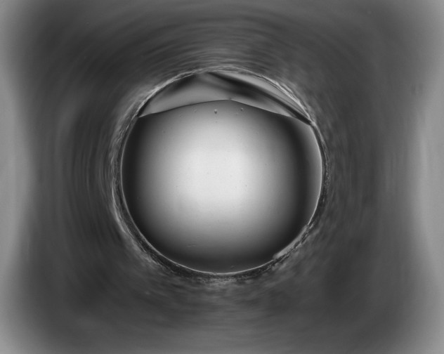 X0000085000097200703121509