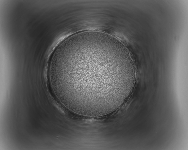 X0000085000098200703121509