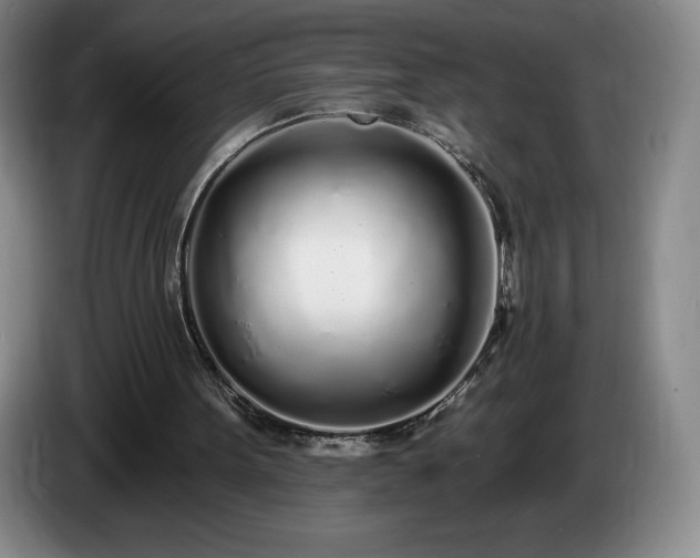 X0000085000099200703121509