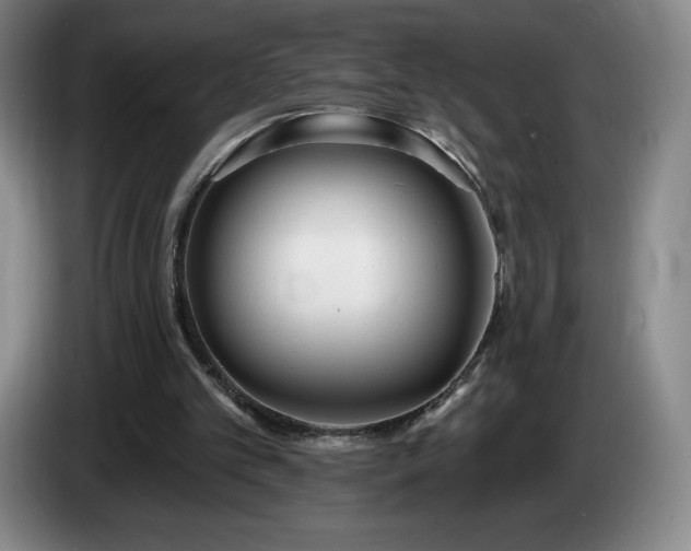 X0000085000101200703121509