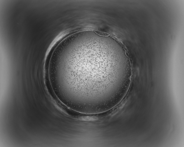 X0000085000102200703121509