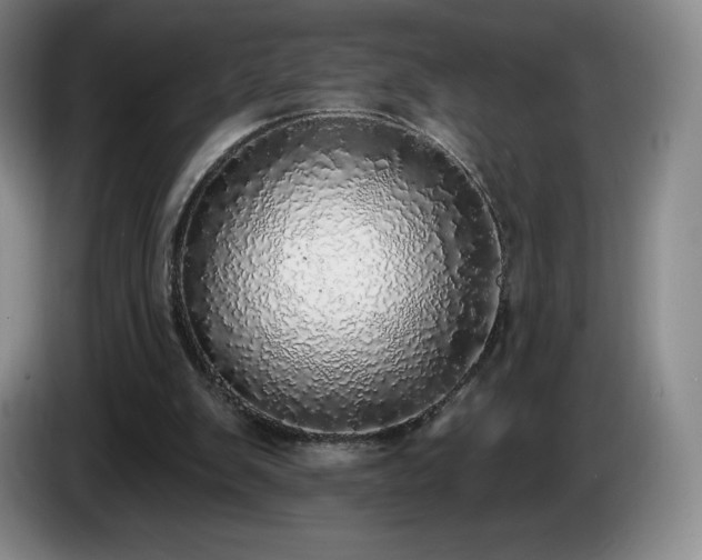 X0000085000103200703121509