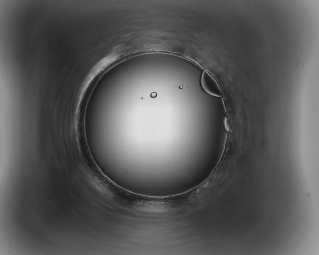 X0000085000104200703121509